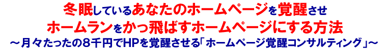 ホームページ覚醒コンサルティング