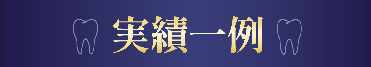 実績一例